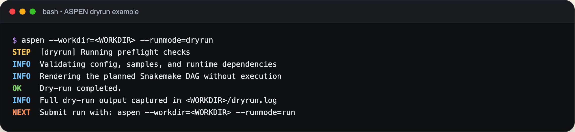 Example ASPEN dry-run console output