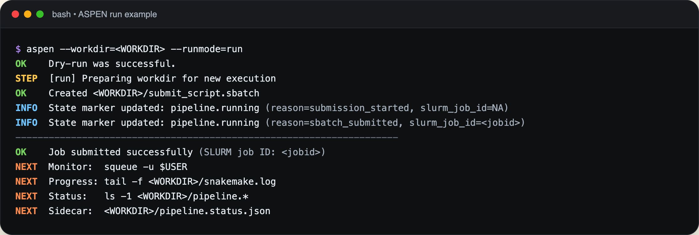 Example ASPEN run submission console output